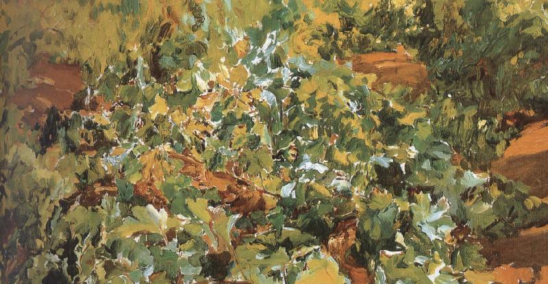 Vineyard, Joaquin Sorolla